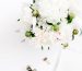 flowers-blog-img-4-opt